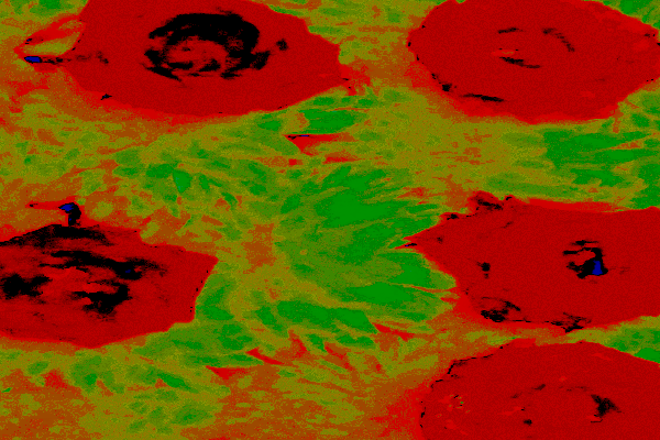 Back Ground Design Colors / Images