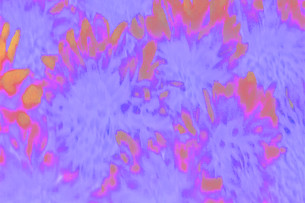 Back Ground Design Colors / Images