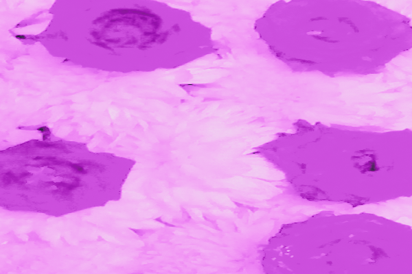 Back Ground Design Colors / Images