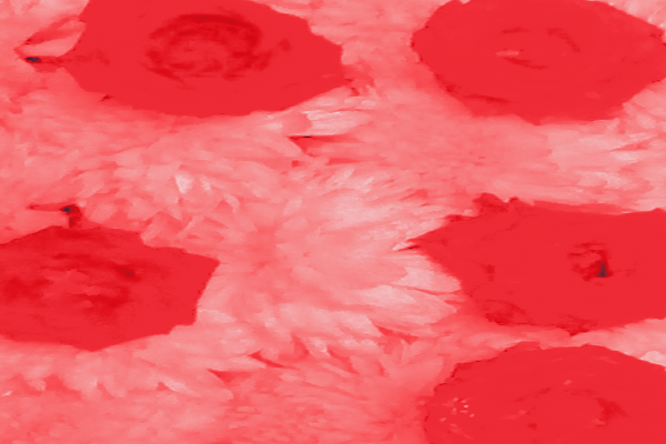 Back Ground Design Colors / Images