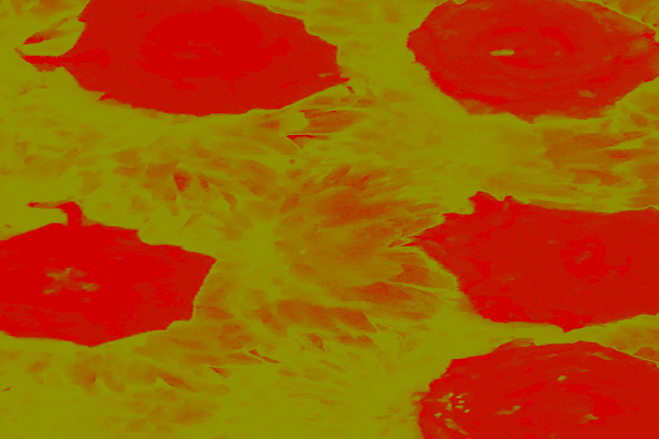 Back Ground Design Colors / Images