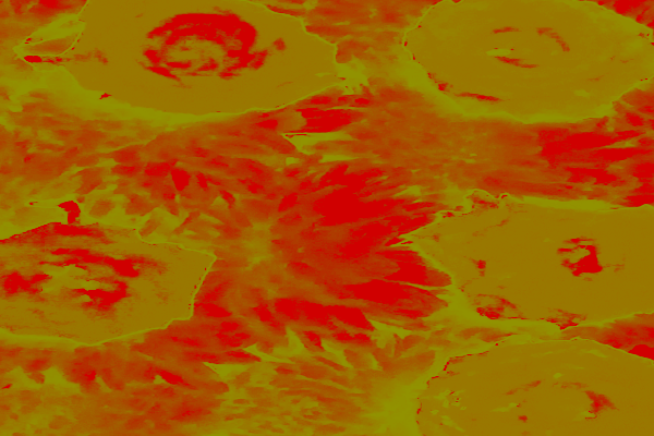 Back Ground Design Colors / Images