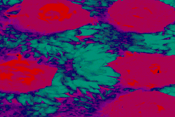 Back Ground Design Colors / Images