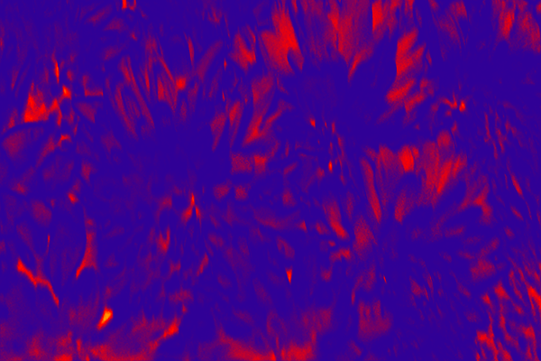Back Ground Design Colors / Images