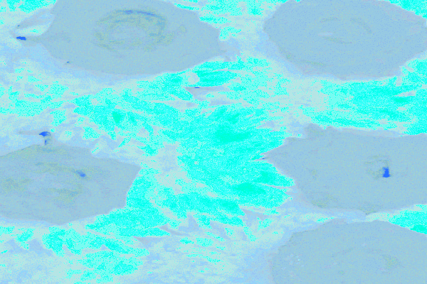 Back Ground Design Colors / Images