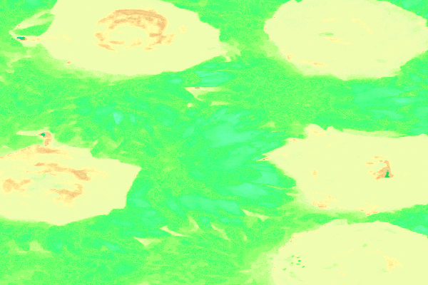 Back Ground Design Colors / Images