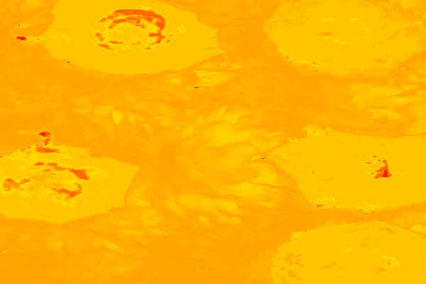 Back Ground Design Colors / Images