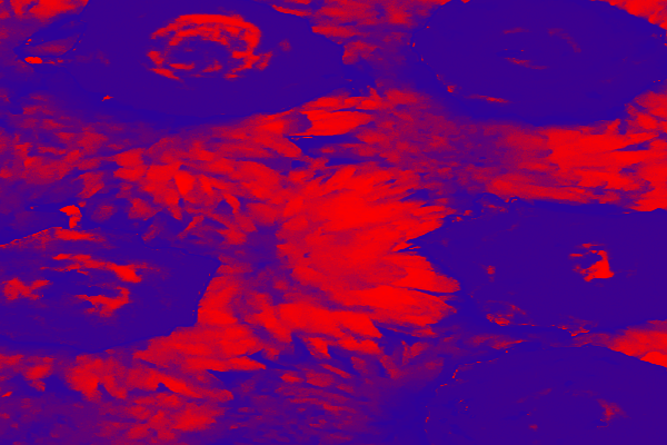 Back Ground Design Colors / Images