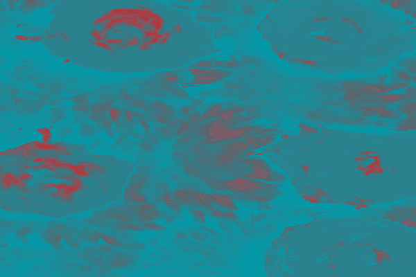 Back Ground Design Colors / Images