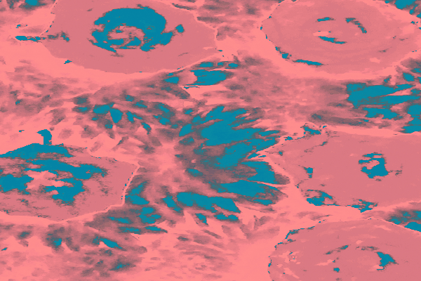 Back Ground Design Colors / Images