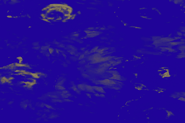 Back Ground Design Colors / Images