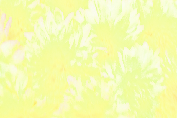 Back Ground Design Colors / Images