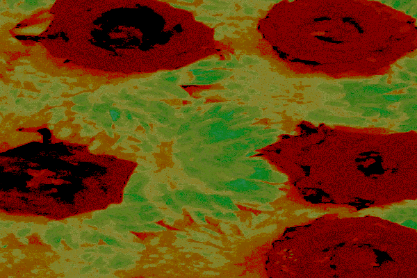Back Ground Design Colors / Images