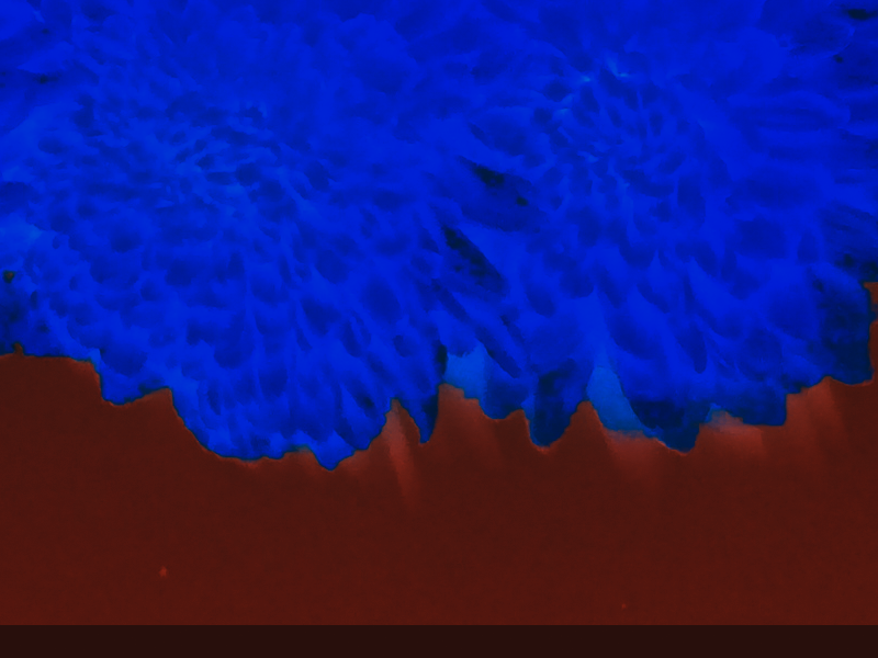 Back Ground Design Colors / Images