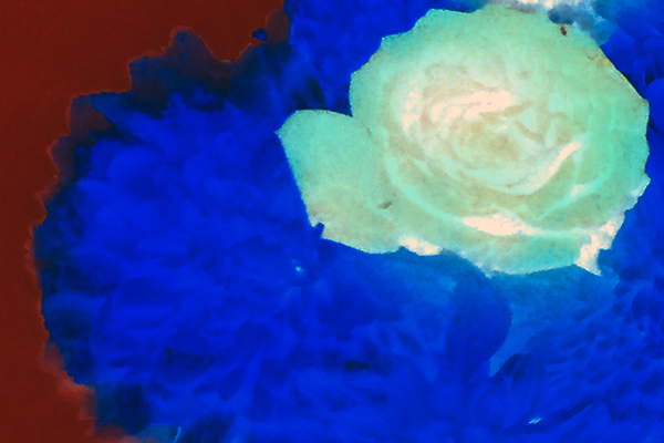 Back Ground Design Colors / Images