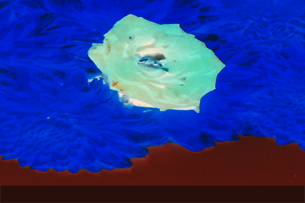 Back Ground Design Colors / Images