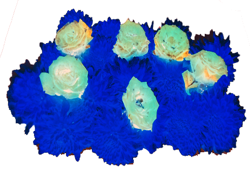 Back Ground Design Colors / Images