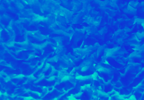 Back Ground Design Colors / Images