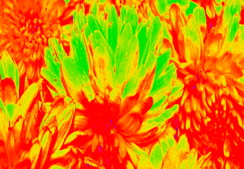 Back Ground Design Colors / Images