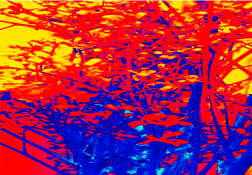 Back Ground Design Colors / Images