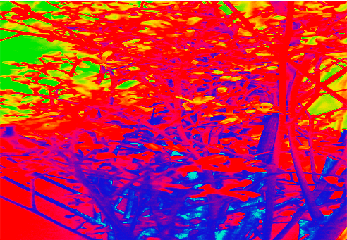 Back Ground Design Colors / Images