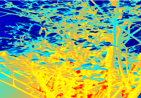 Back Ground Design Colors / Images