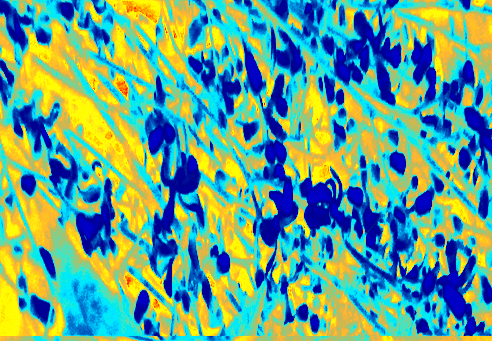 Back Ground Design Colors / Images