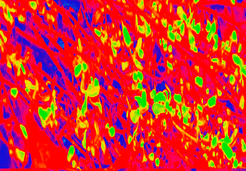 Back Ground Design Colors / Images