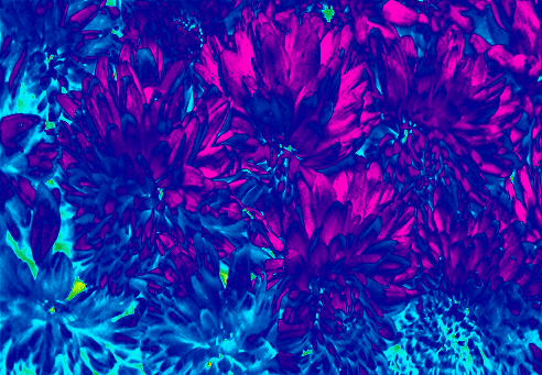 Back Ground Design Colors / Images