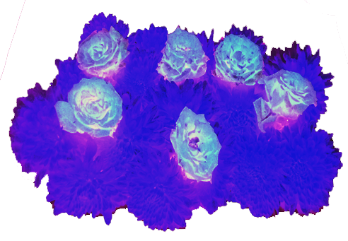 Back Ground Design Colors / Images