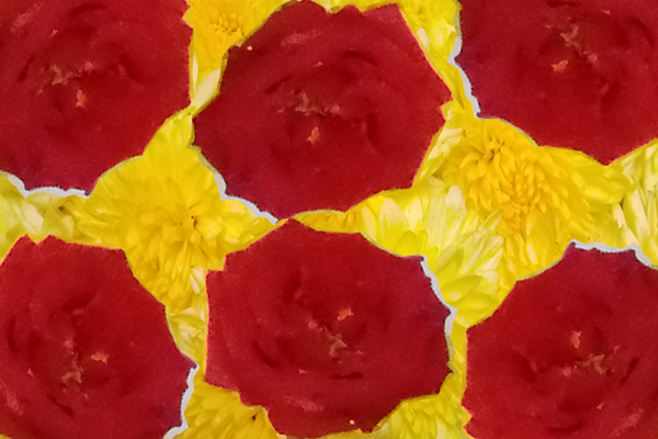 Back Ground Design Colors / Images