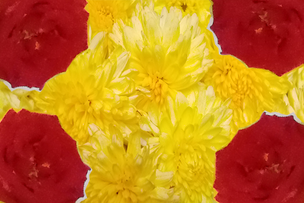 Back Ground Design Colors / Images