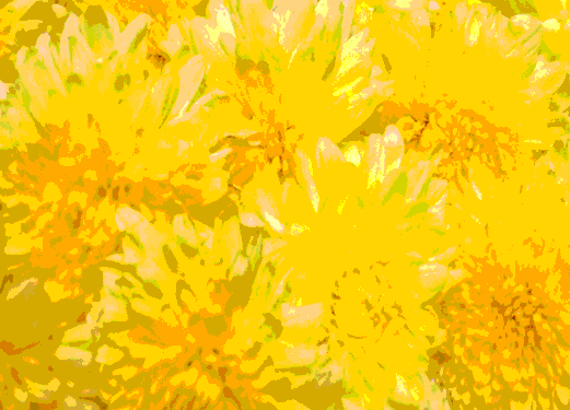 Back Ground Design Colors / Images