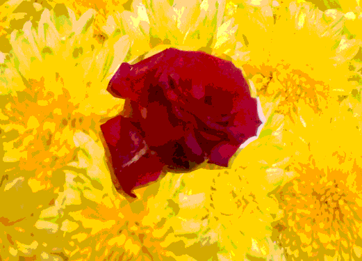 Back Ground Design Colors / Images