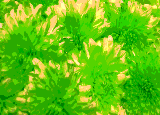 Back Ground Design Colors / Images