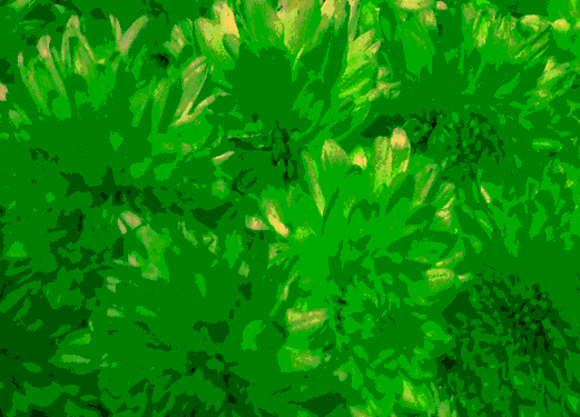 Back Ground Design Colors / Images