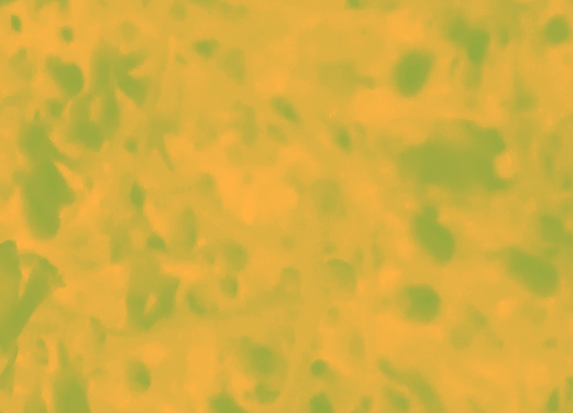 Back Ground Design Colors / Images