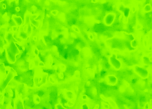 Back Ground Design Colors / Images