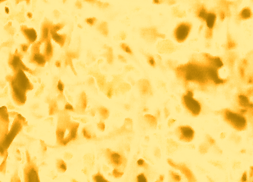 Back Ground Design Colors / Images