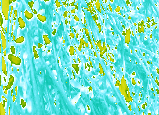 Back Ground Design Colors / Images