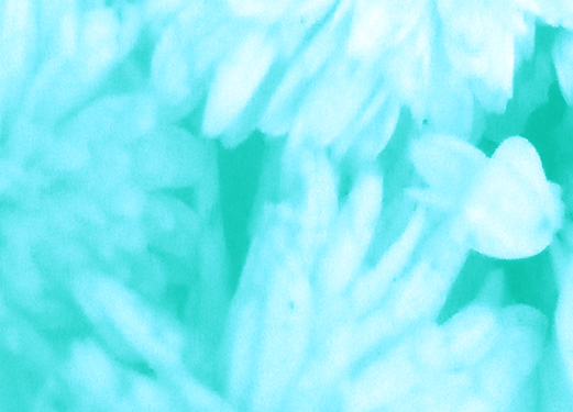 Back Ground Design Colors / Images