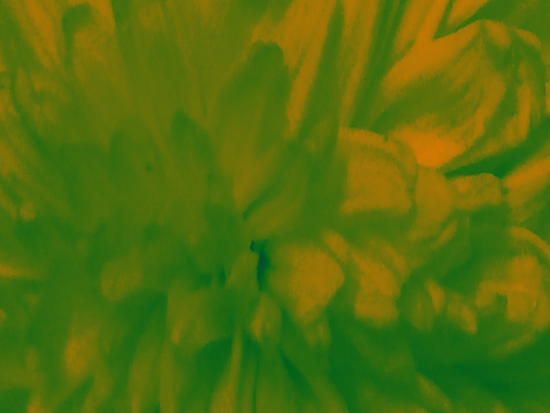 Back Ground Design Colors / Images