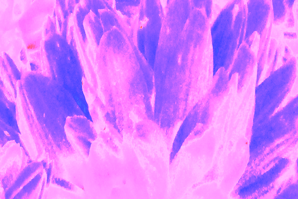 Back Ground Design Colors / Images