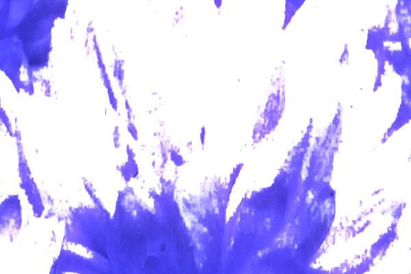 Back Ground Design Colors / Images