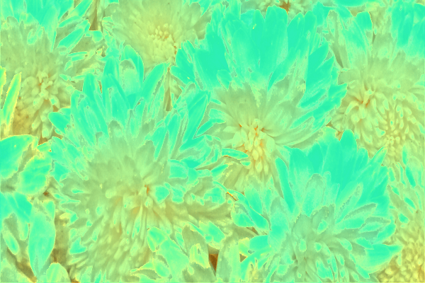 Back Ground Design Colors / Images