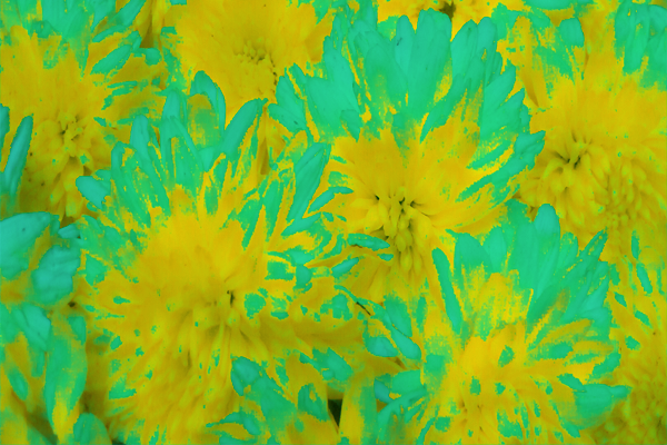 Back Ground Design Colors / Images