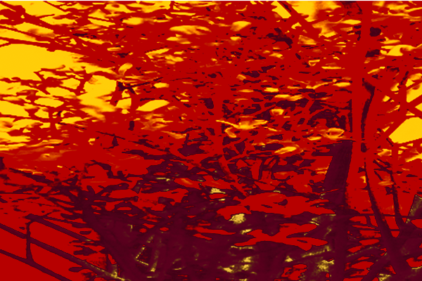 Back Ground Design Colors / Images