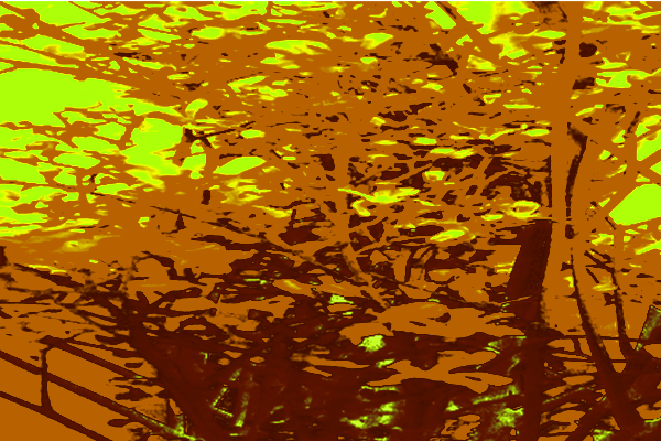 Back Ground Design Colors / Images