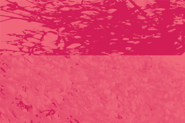 Back Ground Design Colors / Images