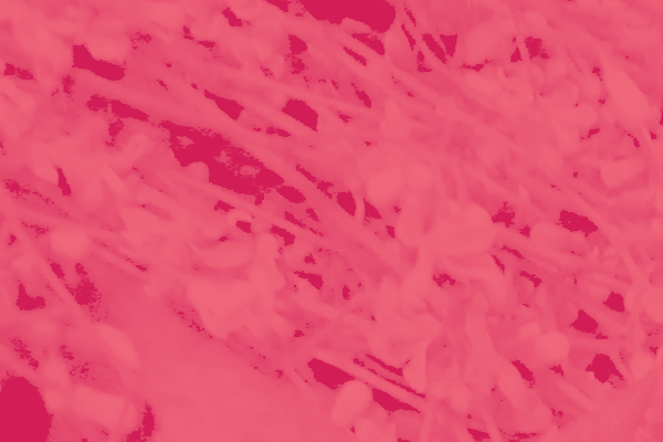 Back Ground Design Colors / Images